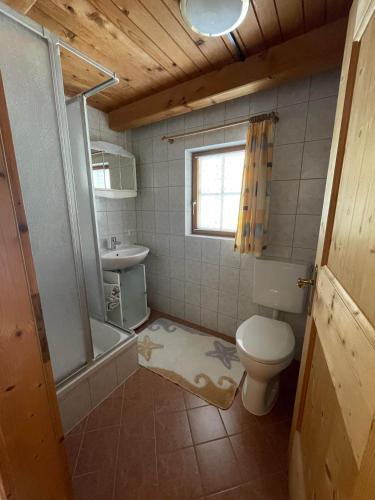 a bathroom with a toilet and a shower and a sink at Mantlerhof in Virgen