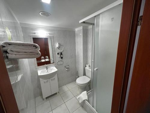 a bathroom with a shower and a toilet and a sink at Hotel Pietrak in Trzemeszno