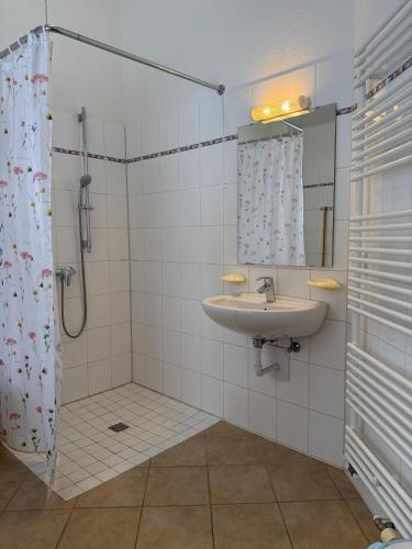 a bathroom with a shower and a sink at Lachmöwe in Munkbrarup
