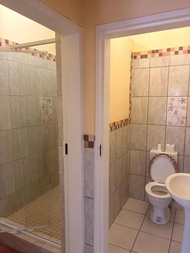 a bathroom with a toilet and a shower and a sink at Philly-Wen Guesthouse in Schweizer-Reineke