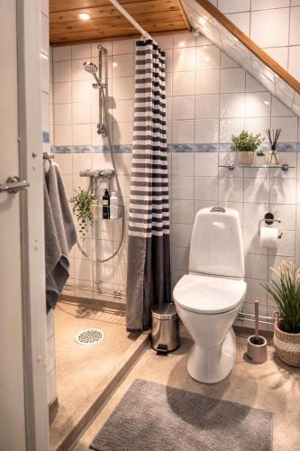 a bathroom with a shower and a toilet in it at City Living Trelleborg in Trelleborg