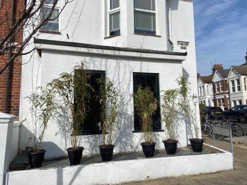Poets Rest, free parking, EV socket fees apply walk to beach photo 16