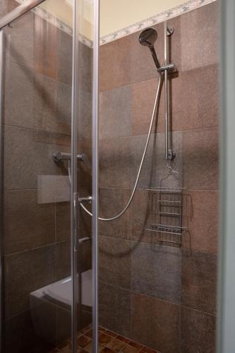 a shower with a glass door in a bathroom at Semivaganti Agritur in Candelara