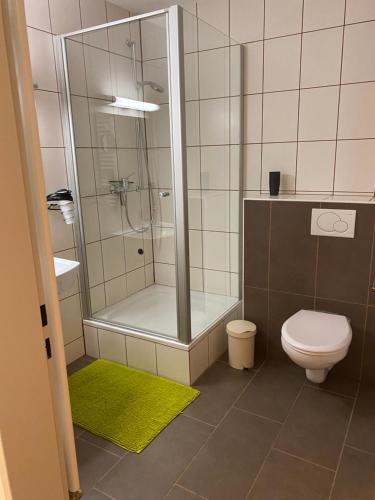 a bathroom with a shower and a toilet with a green rug at Reiter- und Ferienhof Redder in Bad Driburg