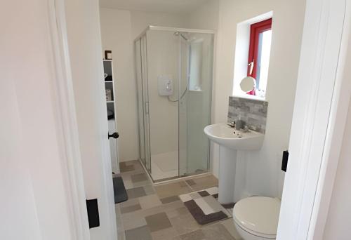 a bathroom with a shower and a toilet and a sink at Historic Louisburgh Farm Cottage in Louisburgh