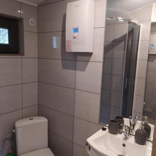 a bathroom with a toilet and a sink and a shower at Domki nad Wałpuszem in Stare Kiejkuty