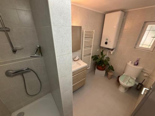 a bathroom with a shower and a toilet and a sink at Charming apartment with stunning mountain views in Levens