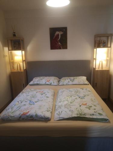 Appartement de plain-pied avec jardin