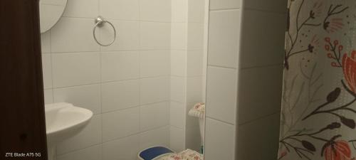 a bathroom with a shower curtain and a sink at Hostal Colonial in Iquique