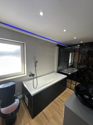 a bathroom with a tub and a toilet and a sink at CosAlpin Apartament in Cîrlibaba