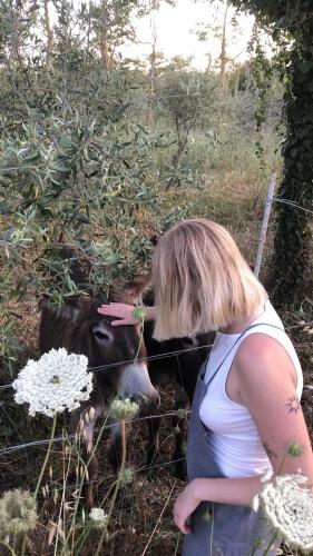 a woman is looking at a cow behind a fence at Aguglia Persa - Double Room in Noto