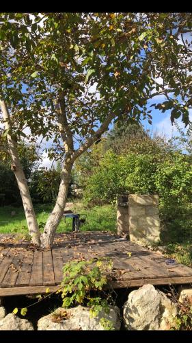 a wooden table with a tree in a park at Aguglia Persa - Double Room in Noto