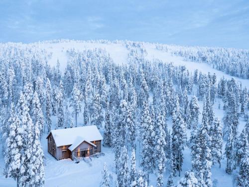 a cabin in the middle of a snow covered forest at Holiday Home Tervakko by Interhome in Luosto