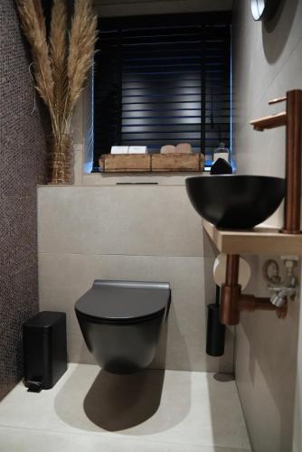 a bathroom with a black toilet and a sink at Gieters Mooist in Giethoorn