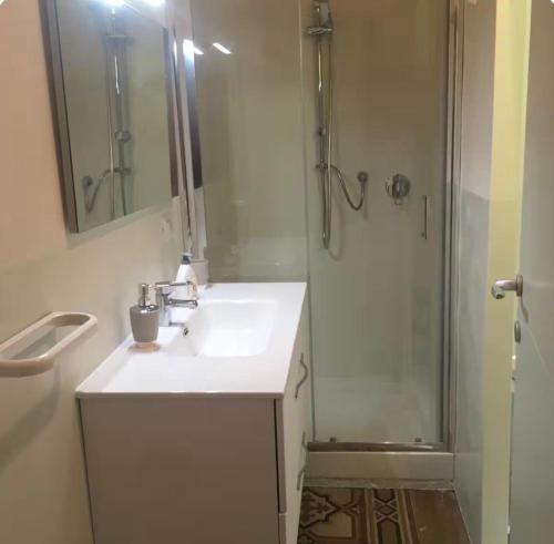 a bathroom with a sink and a shower with a mirror at Via Roma 131 in Montevarchi