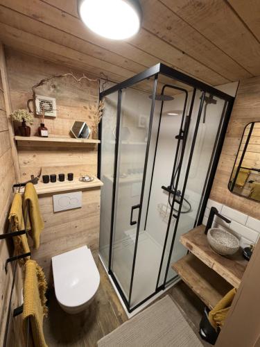 a bathroom with a shower and a toilet at Chalet de la Folie in Martelange
