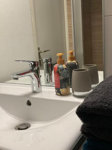 a bathroom sink with two bottles of soap and a mirror at La Mouette de Ripaille in Thonon-les-Bains