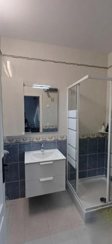 a bathroom with a sink and a shower and a mirror at Coquet studio indépendant in Els Poblets