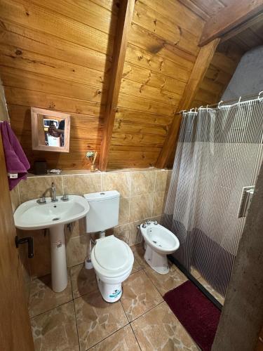 a bathroom with a toilet and a sink and a shower at Ventana al Champaqui in Yacanto