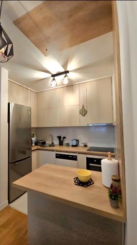 a kitchen with a counter top with a refrigerator at CL Home Lux in Podgorica