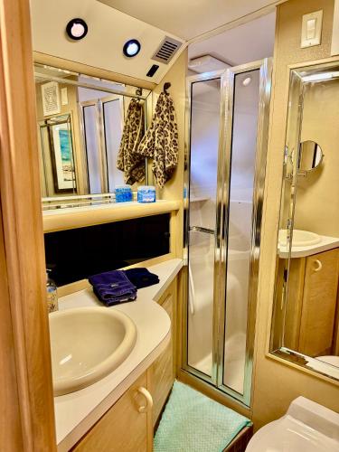 a bathroom with a sink and a shower at Relation Ship in Onekama