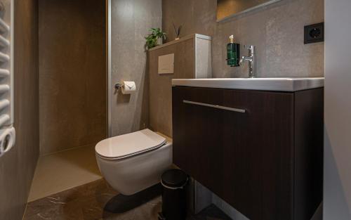 a bathroom with a white toilet and a sink at Tinyhouse luxe met privé hottub in Meerssen