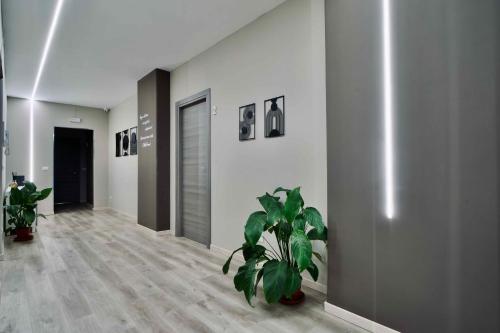 SMG Rooms photo 28
