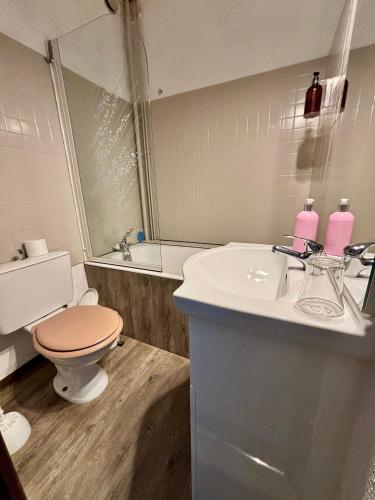 a bathroom with a toilet and a sink at Hotel de la gare des Ecrins in LʼArgentière-la-Bessée