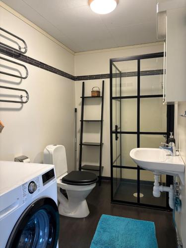 a washing machine in a bathroom with a toilet and a sink at Lägenhet centralt i Mora in Mora