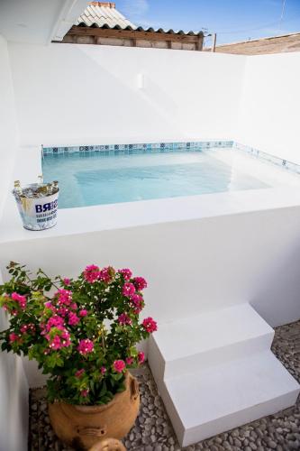 una piscina con una pianta in vaso accanto a un muro bianco di Casa Blanku a Willemstad