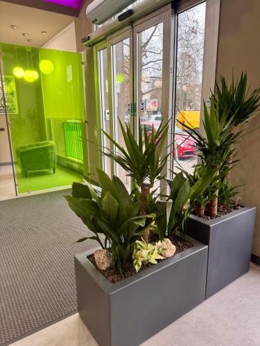an office lobby with two plants in pots at Hotel Miramonti in Turin