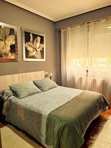 a bedroom with a bed and a window at Parque da Ponte in Ourense