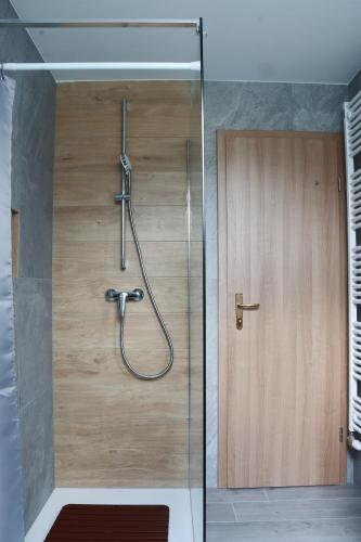 a shower in a bathroom with a wooden door at Bled Castle View Apartment Medina in Zgornje Gorje