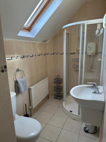a bathroom with a shower and a toilet and a sink at Clare Cottage in Doolin
