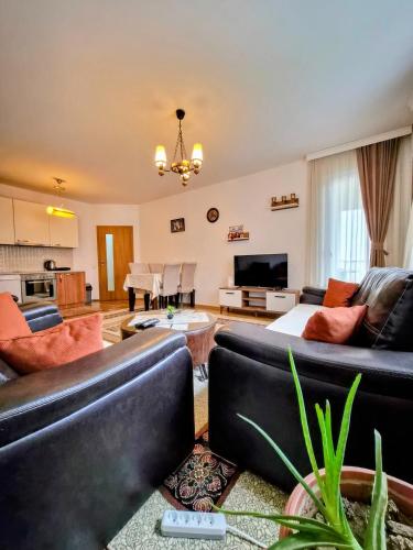 Vintage Apartment 1BR & Private parking spot