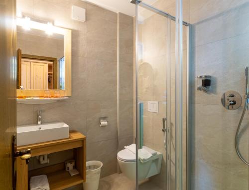a bathroom with a shower and a toilet and a sink at Hotel Schwarzbachhof in Lutago