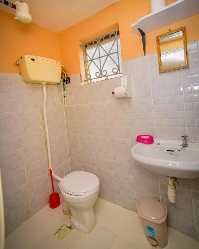 a bathroom with a toilet and a sink at Maurine Homestays in Eldoret