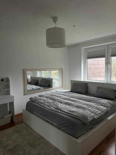 a bedroom with a large bed and a mirror at Bright & Spacious 1BR Apartment in Bielefeld