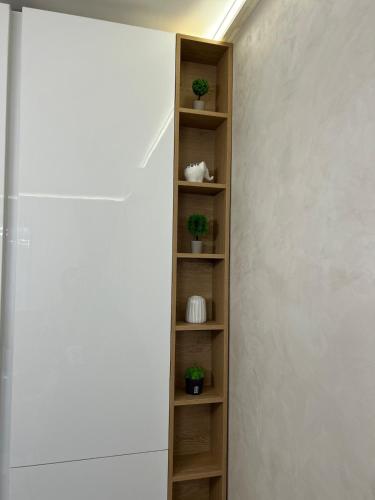 a book shelf in a hallway with potted plants at Le bijou Lauta Forest in Plovdiv