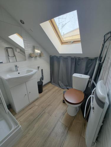 a bathroom with a toilet and a sink and a shower at Appart cosy mansardé Dijon gare 1km animaux acceptés in Dijon