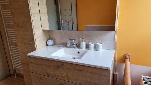 a bathroom with a white sink and a mirror at Le Nichoir de la Biesme in Aiseau