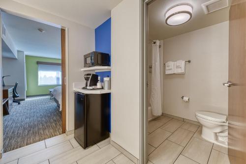a bathroom with a toilet and a sink in a room at Holiday Inn Express & Suites - Manitou Springs by IHG in Manitou Springs