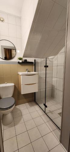a bathroom with a toilet and a shower and a sink at La Cour d'Arblade in Arblade-le-Haut