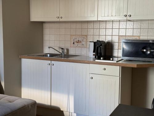 Kuhinja ili čajna kuhinja u objektu Apartamenty Delecta