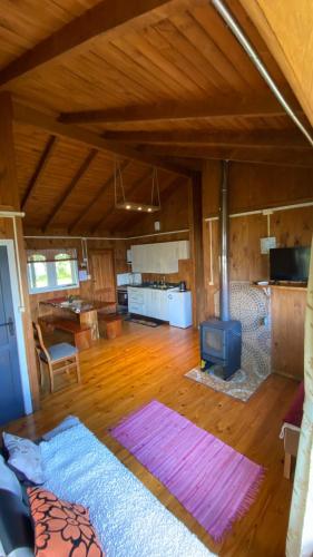 a living room with a woodburning stove in a house at Cabañas Arte Patagonia in Puyehue
