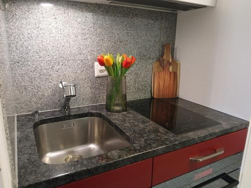 Flims Laax, Parking, Ski, Ski room, Self Check-in Wi-Fi Caumasee