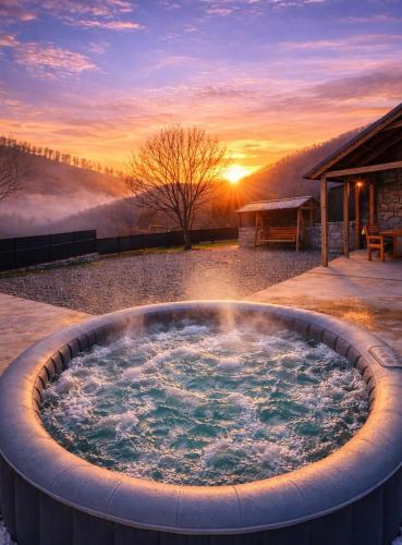 Jacuzzi Dream House