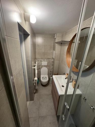 a bathroom with a toilet and a sink and a mirror at Apartmán Klára in Terchová
