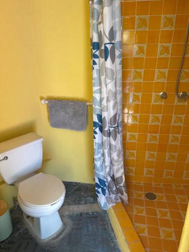 a bathroom with a toilet and a shower at Business in-suite with office in San Miguel de Allende