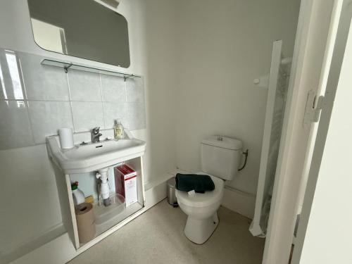 a white bathroom with a toilet and a sink at L'appartement Dunois in Châteaudun